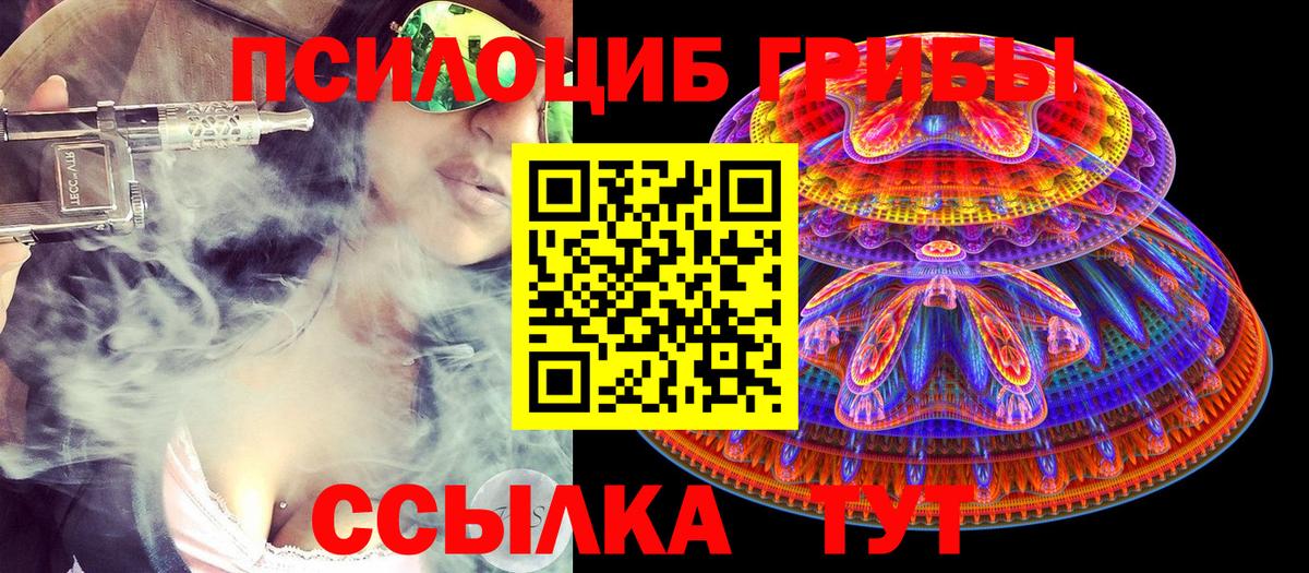 Псилоцибиновые грибы Партизанск